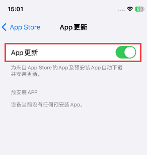 城子河苹果15维修中心如何让iPhone15APP自动更新